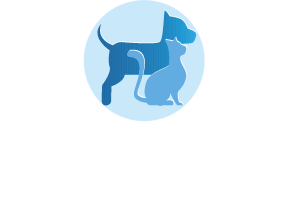 R.I.P. Pet Cremação de Animais São Paulo